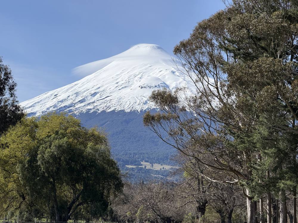 Cumbre nevada del volcán Osorno entre árboles, con una nube lenticular